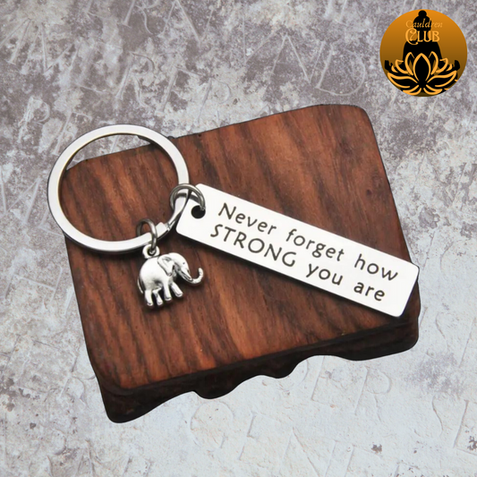 Emotional Support Elephant Keyring, Silver